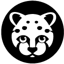 Snow Leopard
